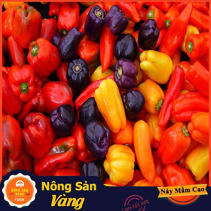 Hạt giống Ớt Chuông Ngọt Nhiều Màu