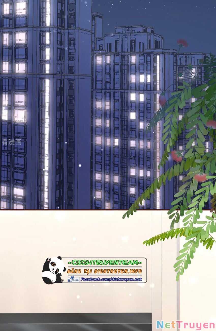 bạn gái tôi mới 30+ tuổi xuân chapter 113 19