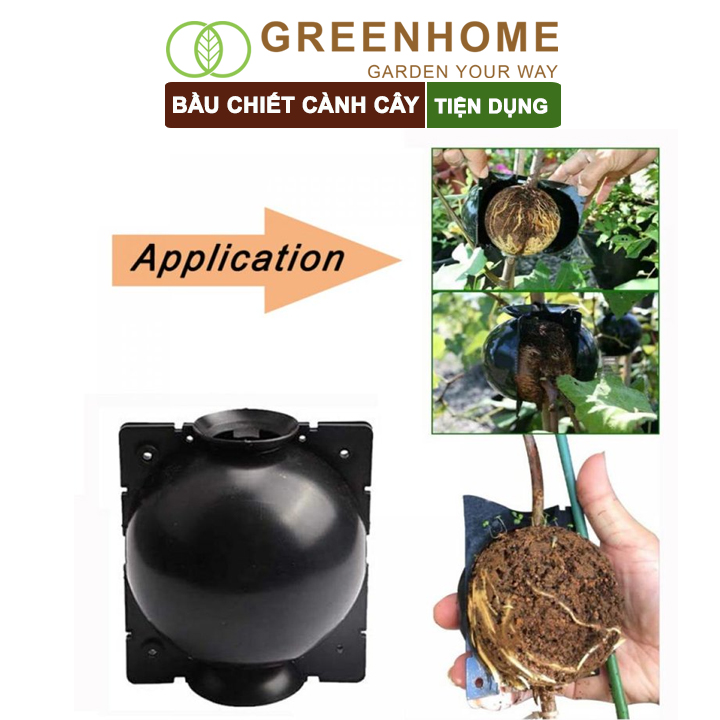 Bầu chiết cành cây Greenhome, tăng khả năng ra rễ, chống úng cành chiết, tái sử dụng nhiều lần, nhiều kích thước