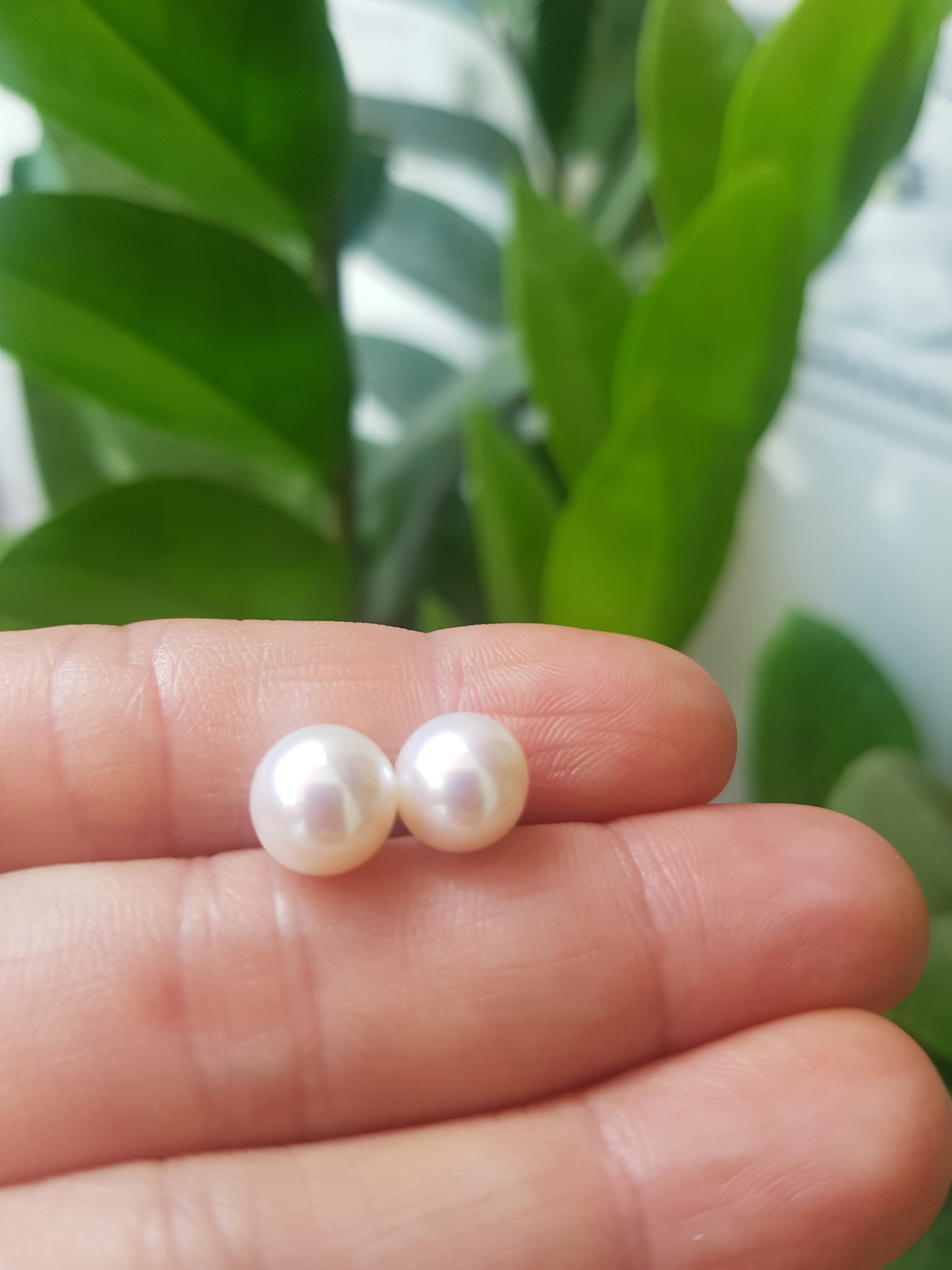 Đôi Bông Ngọc Trai Cao Cấp Bóng Đẹp  Cặp Bông tai màu Trắng Bóng size 8mm vừa đẹp  Nữ Bọc Vàng đeo lên tay vừa đẹp vừa sang ạ