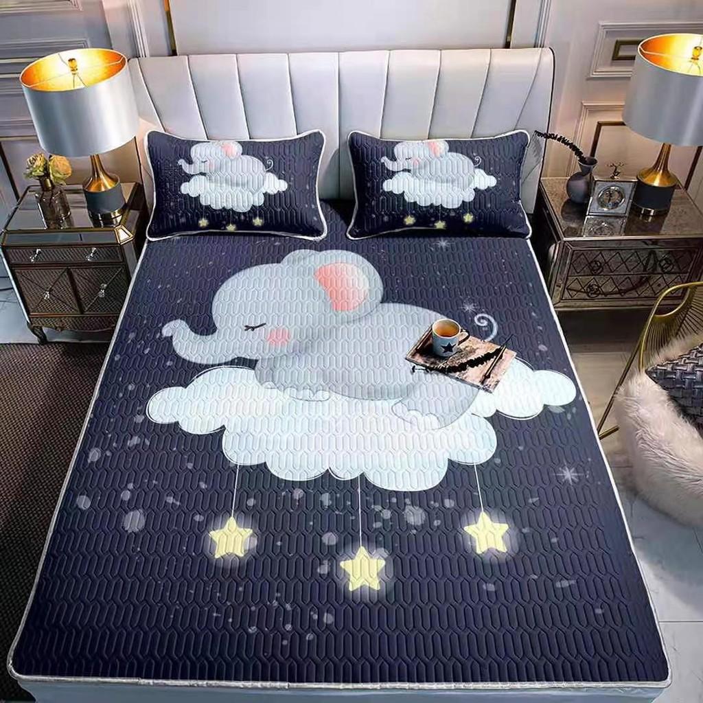 Chiếu Điều Hòa Cao Su Non 5D Hàng Loại 1 Có Sẵn Size 1m6*2m