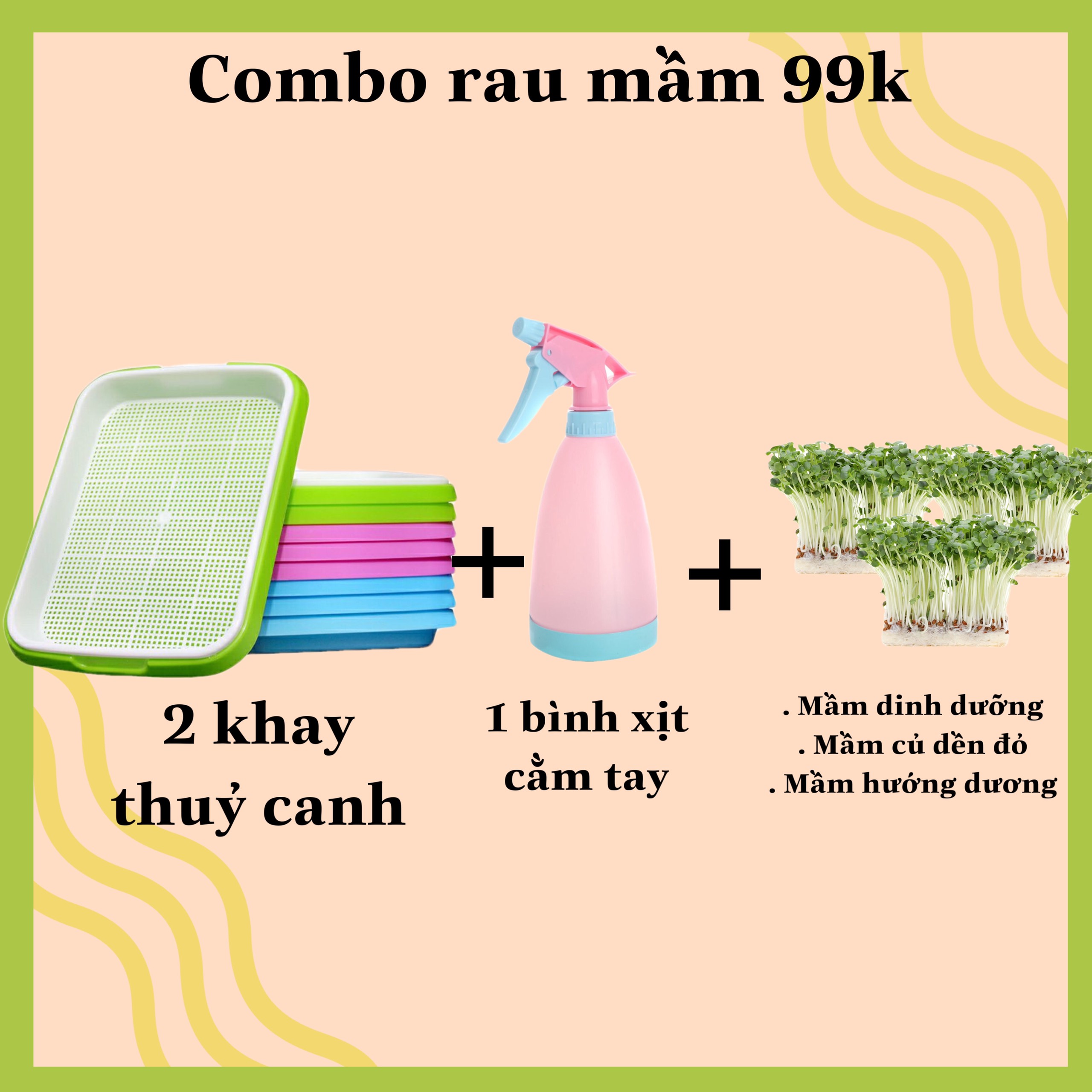 COMBO TRỒNG RAU MẦM THỦY CANH TẶNG KÈM BÌNH TƯỚI