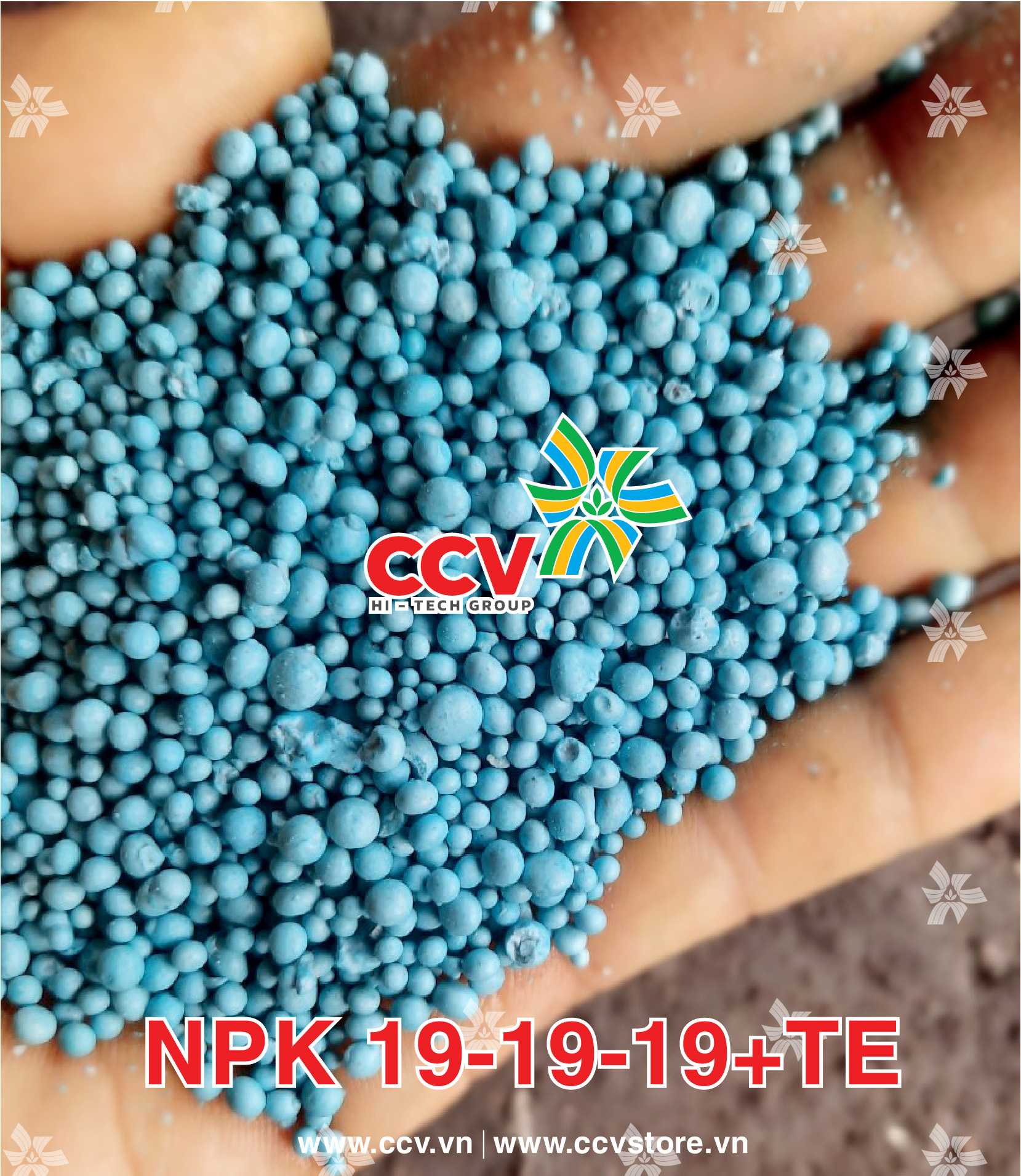 Phân bón chuyên cây có múi NPK 19-19-19+Bo+TE-01 (1kg)