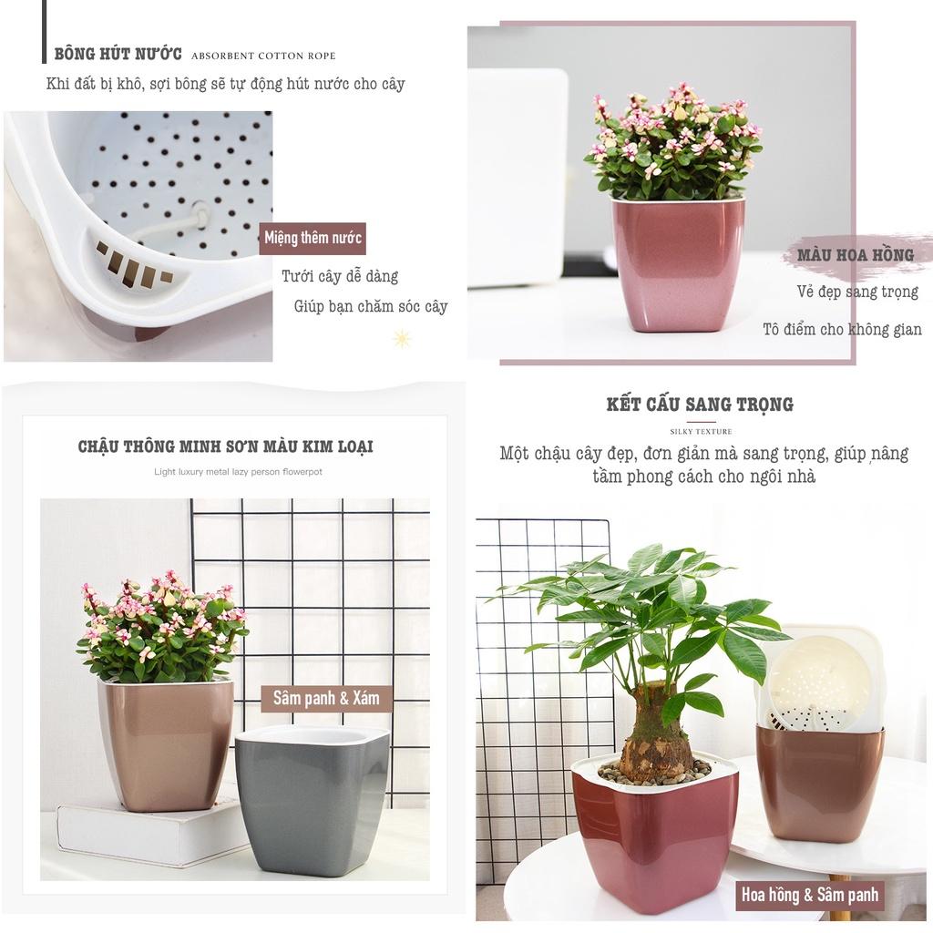 Chậu cây để bàn Oliz G1. Chậu trồng cây tự tưới. Decor nhà cửa, văn phòng, bàn làm việc