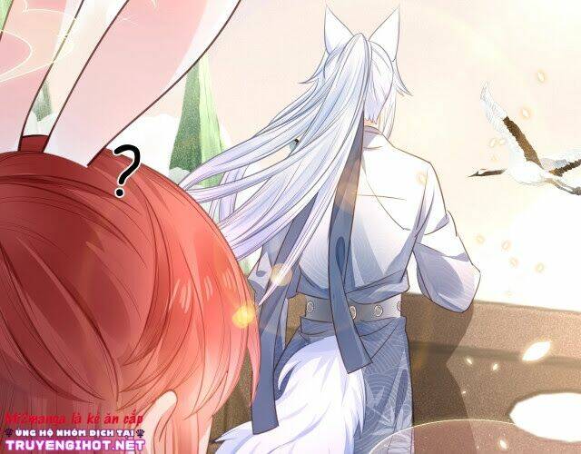 hắc hóa nam chính trực tuyến nuôi thỏ chapter 11 74