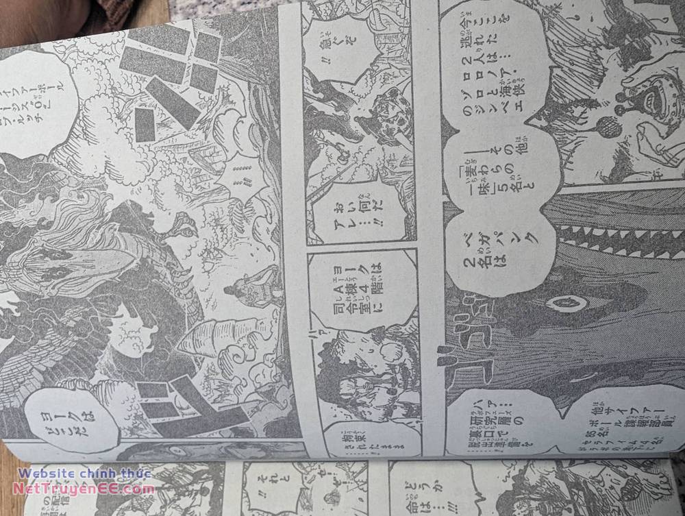 đảo hải tặc - one piece chapter 1111 7