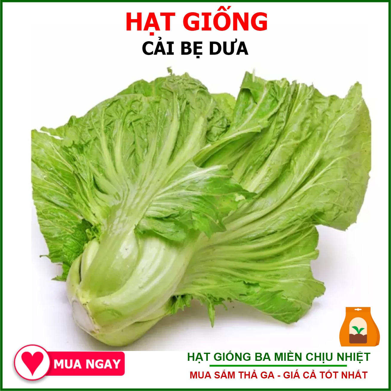 Hạt Giống Cải Bẹ Dưa Gói 20gram Sen Vàng