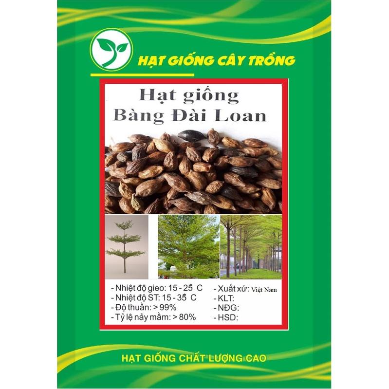 Hạt giống cây giống bàng đài loan KNS3717 - Gói 10 hạt