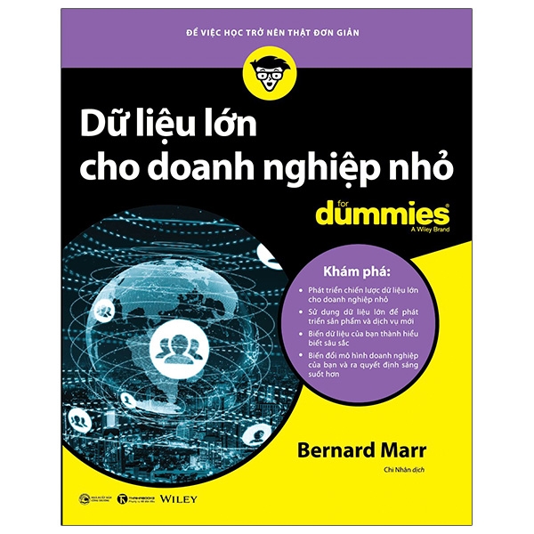 Dữ Liệu Lớn Cho Doanh Nghiệp Nhỏ For Dummies