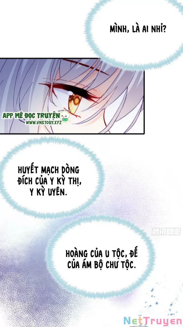 lại bị bệnh chiều chuộng quấn lấy chapter 19 45