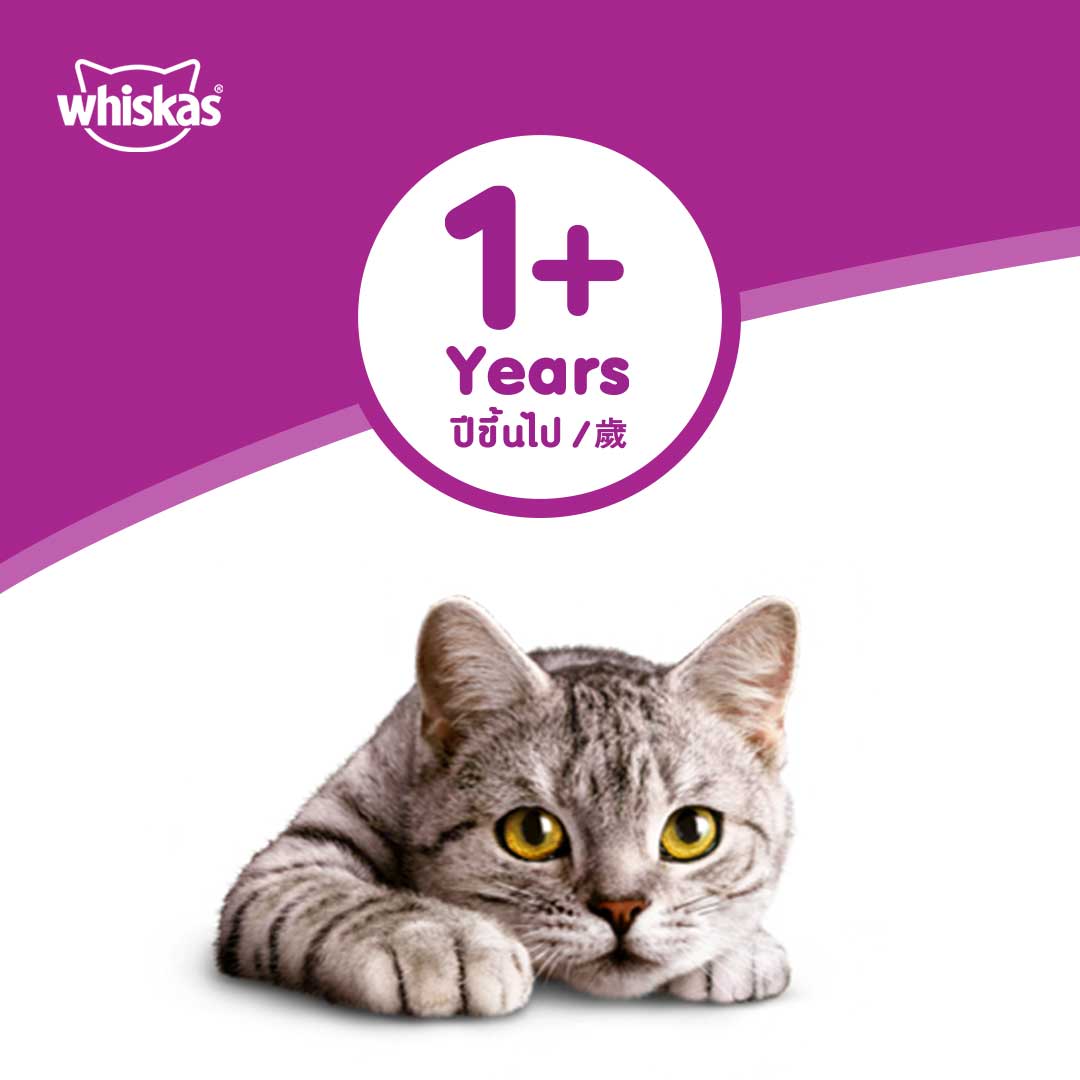 WHISKAS Thức ăn cho mèo lớn dạng sốt vị cá ngừ và thịt gà 80g (12 gói)