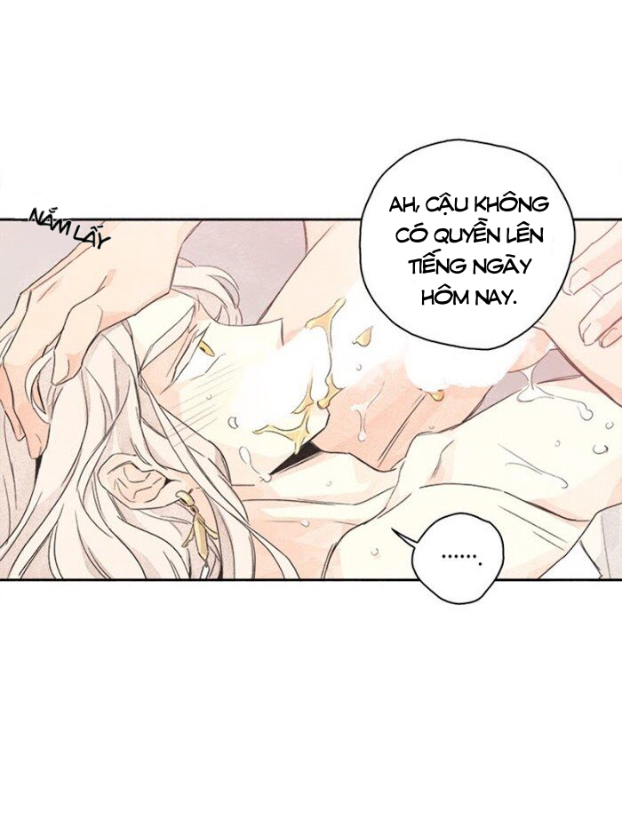 bắp cải bên dưới củ cải chapter 2 46