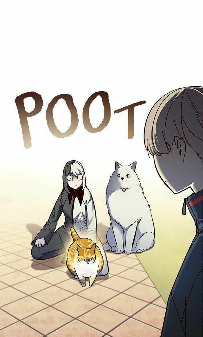 biến thân thành mèo chapter 80 85