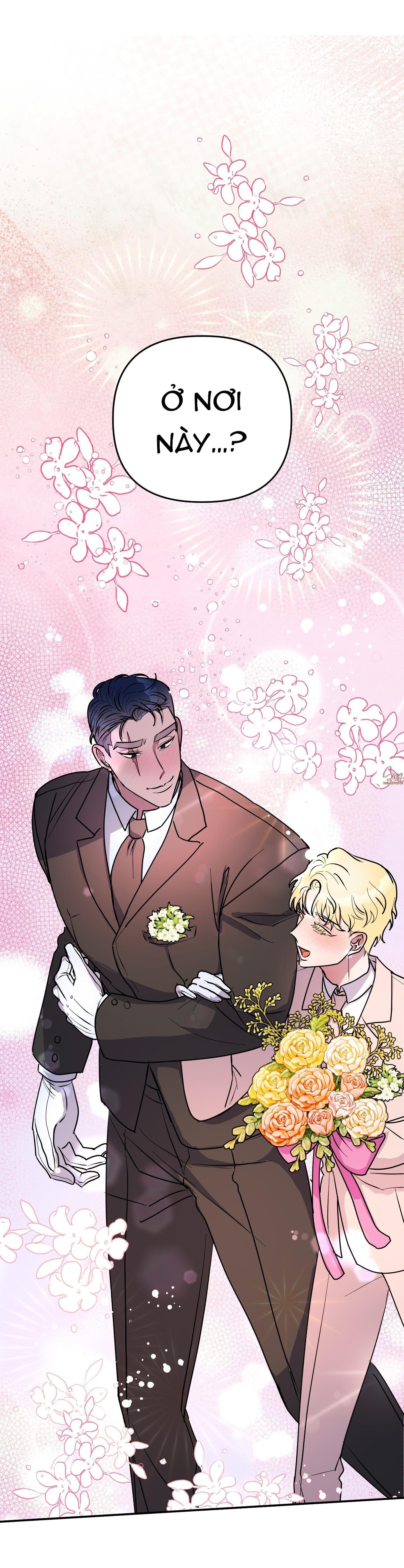 cá mập và cô dâu thỏ chapter 53 35