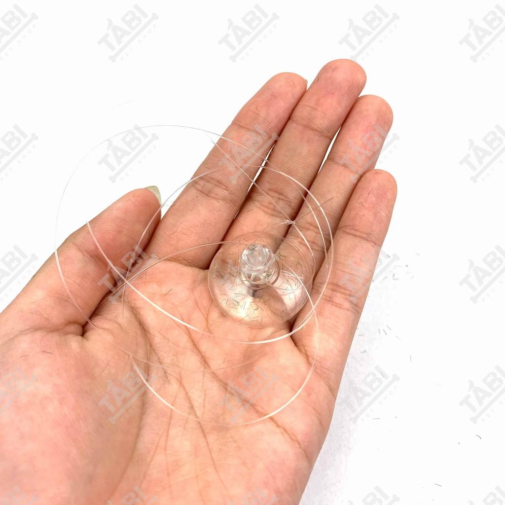 Đá Nổi Trang Trí Hồ Cá Thuỷ Sinh - Đá Bay Làm Tiểu Cảnh Bể Cá Cảnh