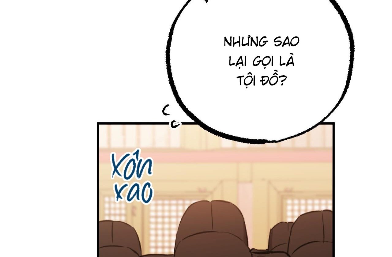 những chú thỏ của hapypy chapter 62 80