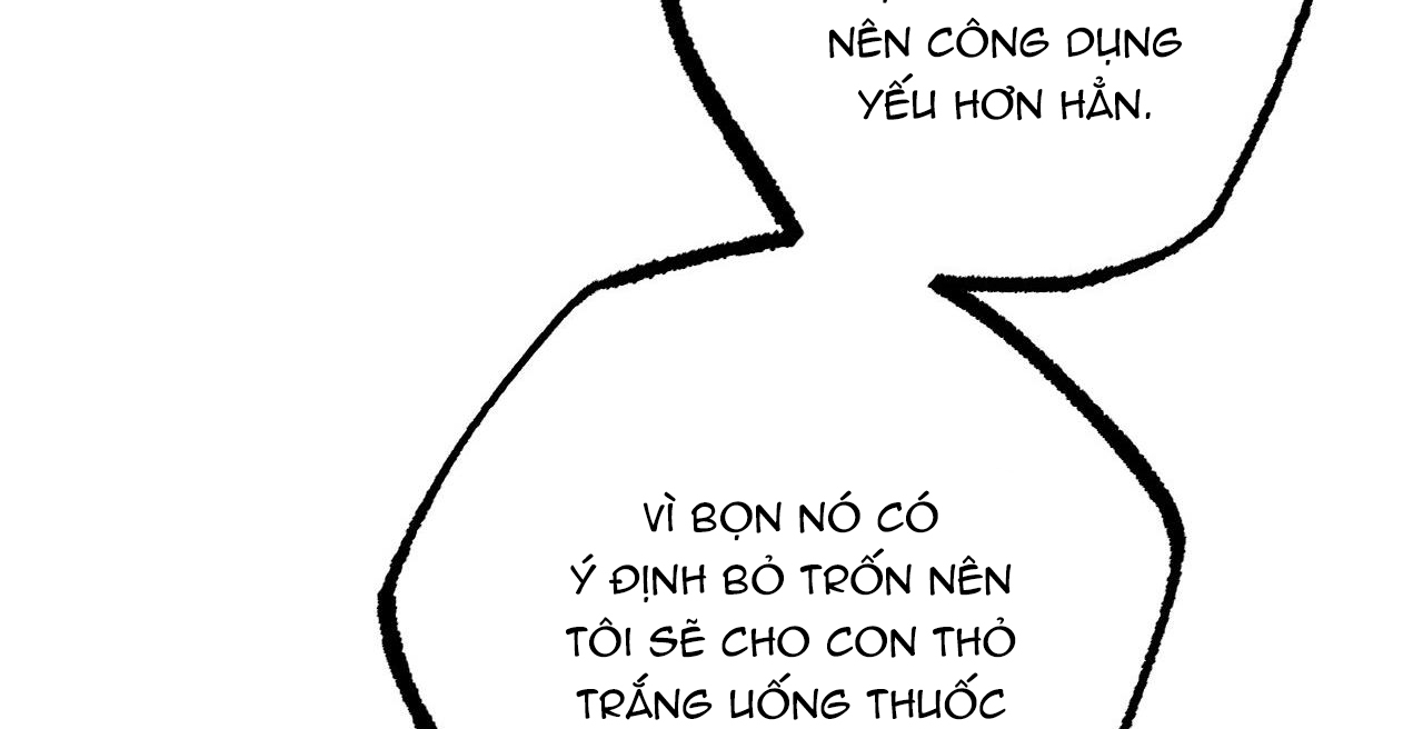 đàn thỏ của habibi chapter 36 133