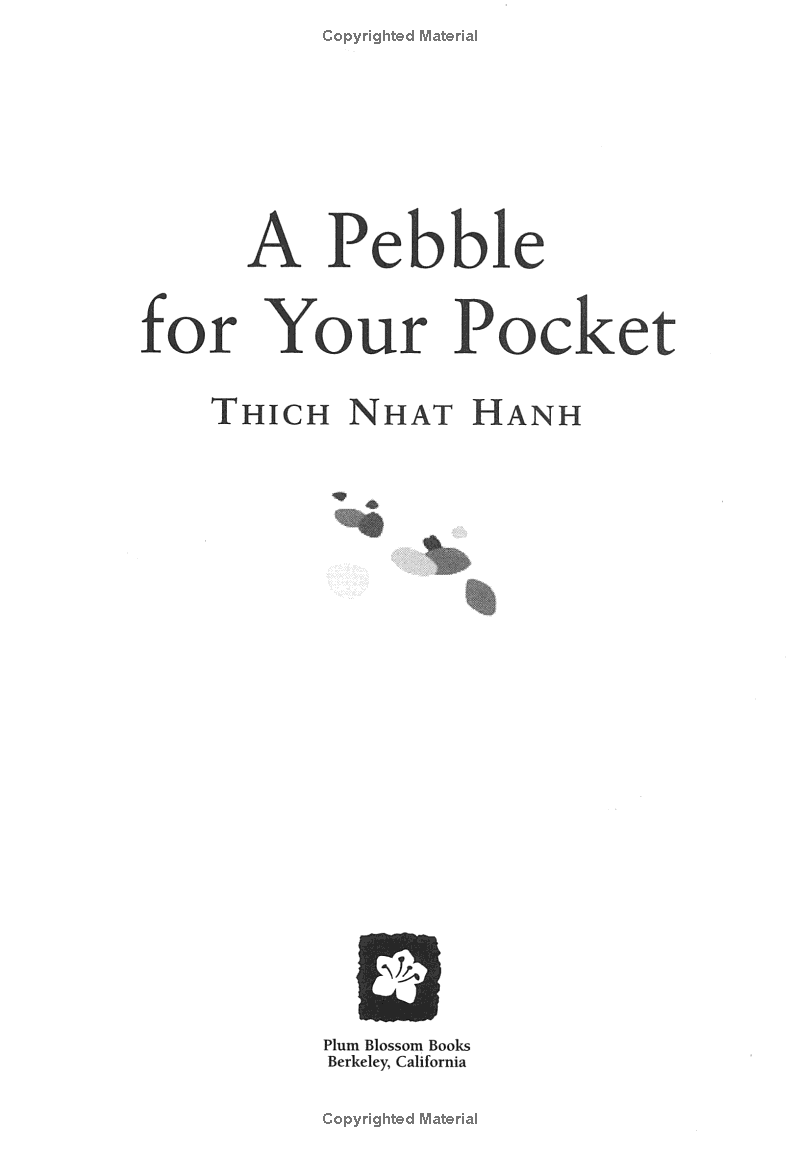 A Pebble For Your Pocket: Mindful Stories For Children And Grown-ups