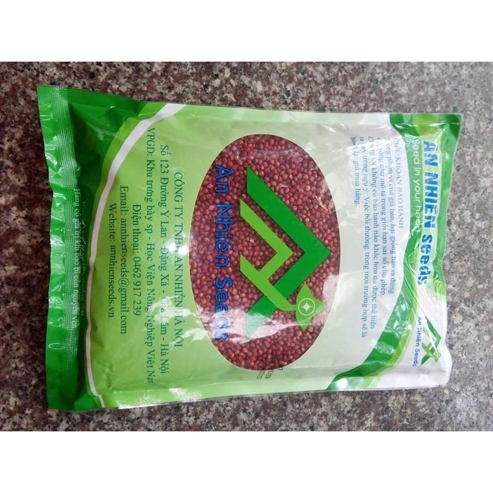 Hạt giống cỏ MULATO II 100g - cỏ chịu lạnh chịu hạn tốt, tái sinh lâu năm