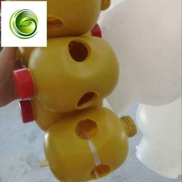 Combo sét 5c lồng bắt ruồi vàng,bât ông châm đục quả