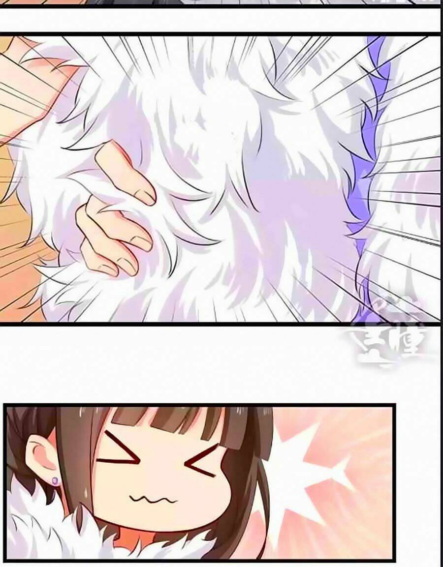 chỉ nhiễm thành hôn chapter 15 11