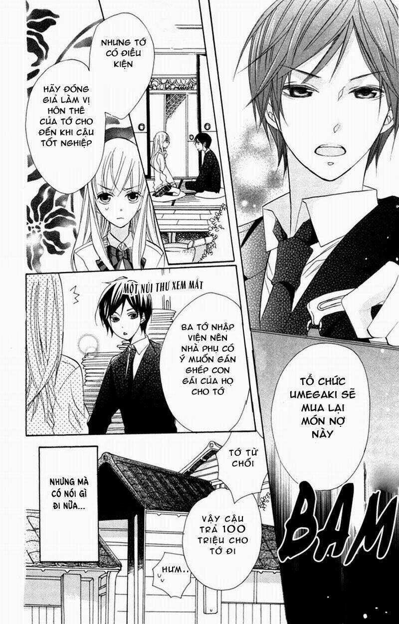 hoa hồng hoang dã chapter 4 6