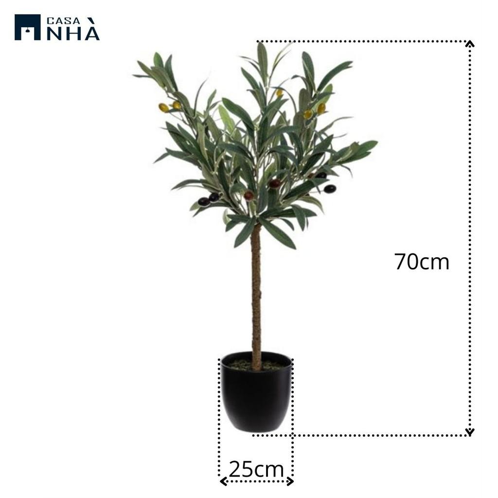 Cây trang trí nhân tạo phong cách Địa Trung Hải OLIVE TREE