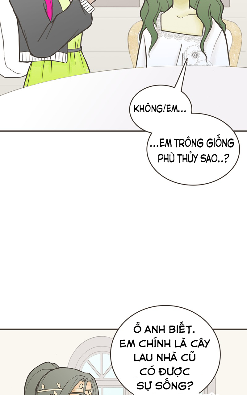 những nàng công chúa bị nguyền rủa chapter 14 35