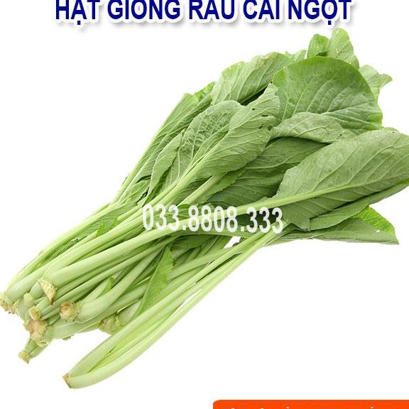 Hạt giống rau cải ngọt 20gram - rau trồng quanh năm