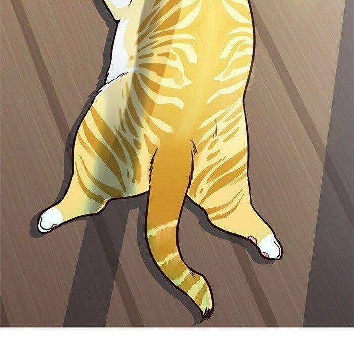 biến thân thành mèo chapter 11 50