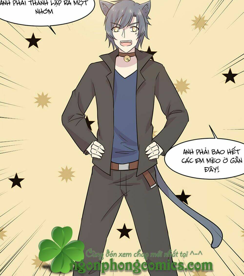 hai chú mèo totem chapter 20 14