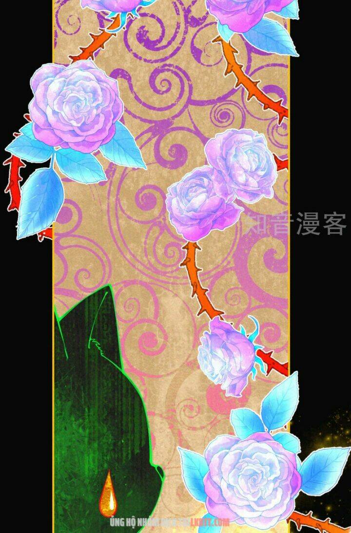 xuyên đến ai cập : trở thành cô dâu của vương chapter 0 16