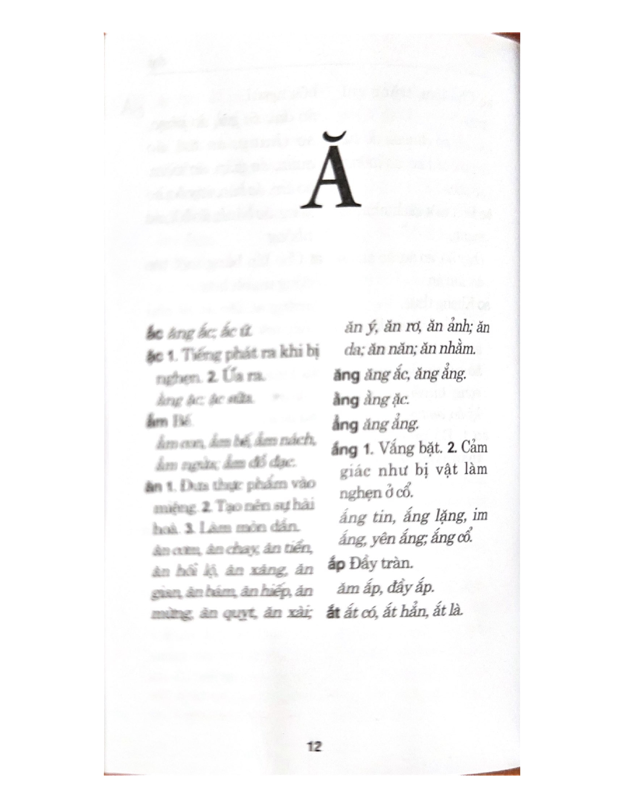 Từ Điển Chính Tả Tiếng Việt - Vanlangbooks