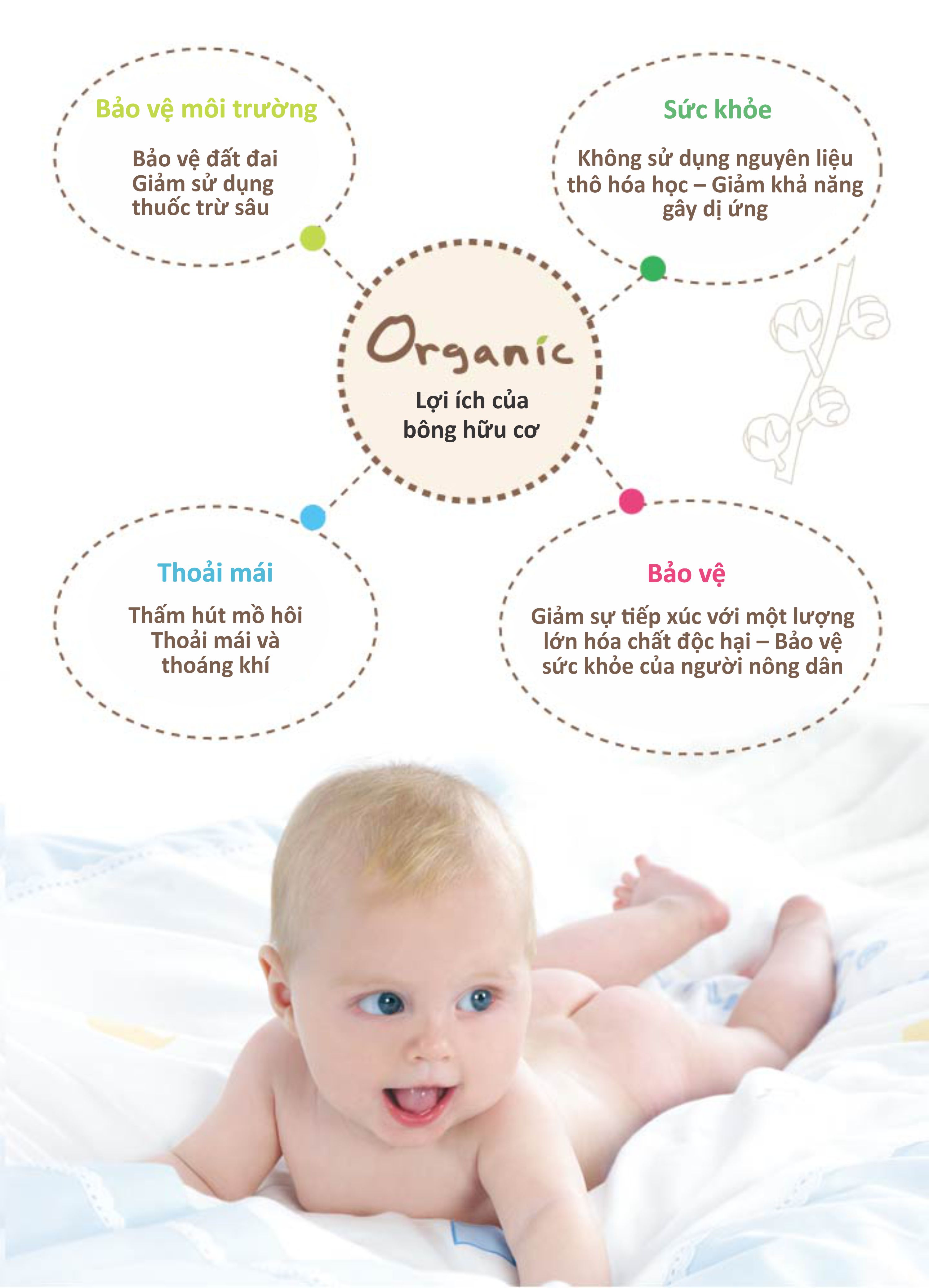 GỐI NẰM CHO BÉ 6M+ BẰNG VẢI ORGANIC KUKU KU2053 - SIZE 23x35 cm