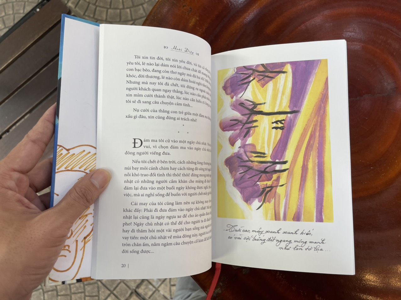 ĐÁM MA TÔI – Đinh Hùng – Truongphuongbooks - bìa cứng in màu giấy mỹ thuật
