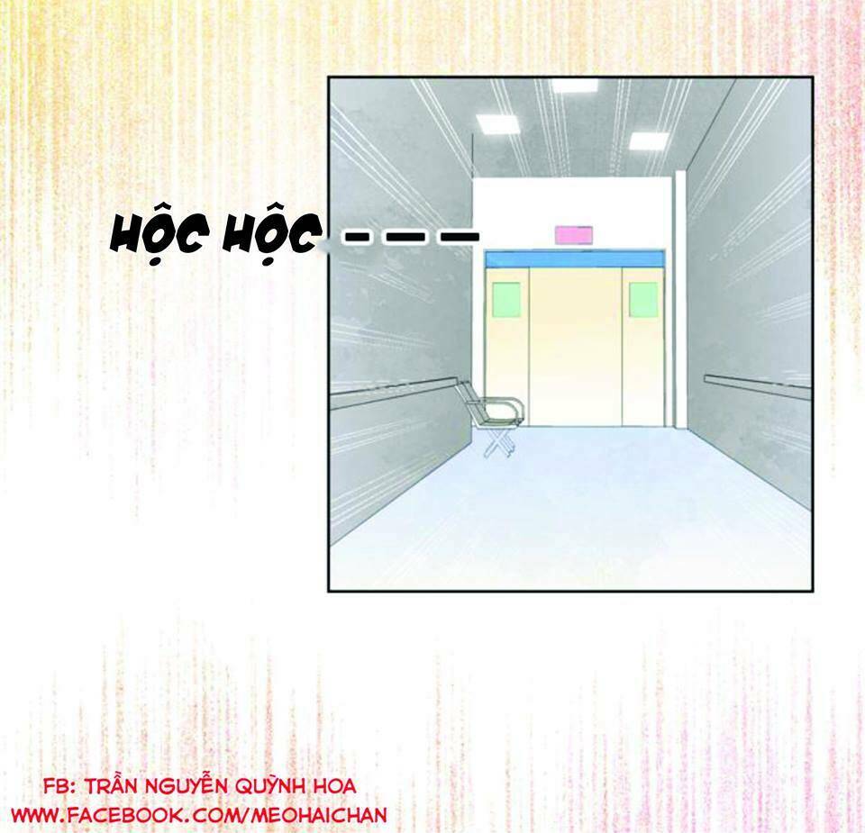 yêu lại một lần nữa chapter 2 2