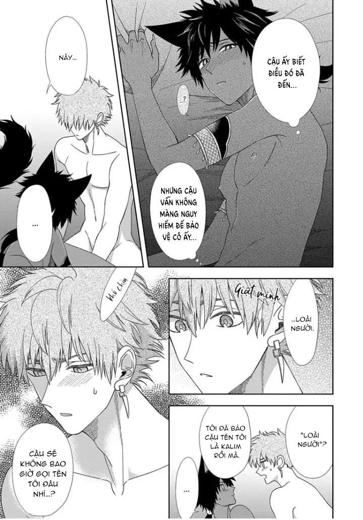 hắc thú nhân rơi vào lưới tình chapter 4 21