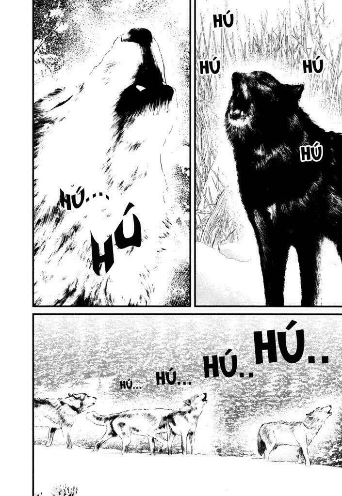 wolf guy - wolfen crest chapter 116 10