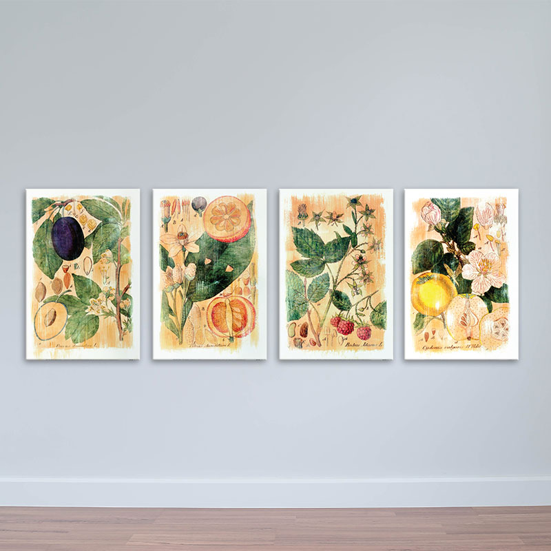 Bộ 4 Tranh Hoa Quả Nền Vàng | Tranh Canvas/MDF Cổ Điển W1785