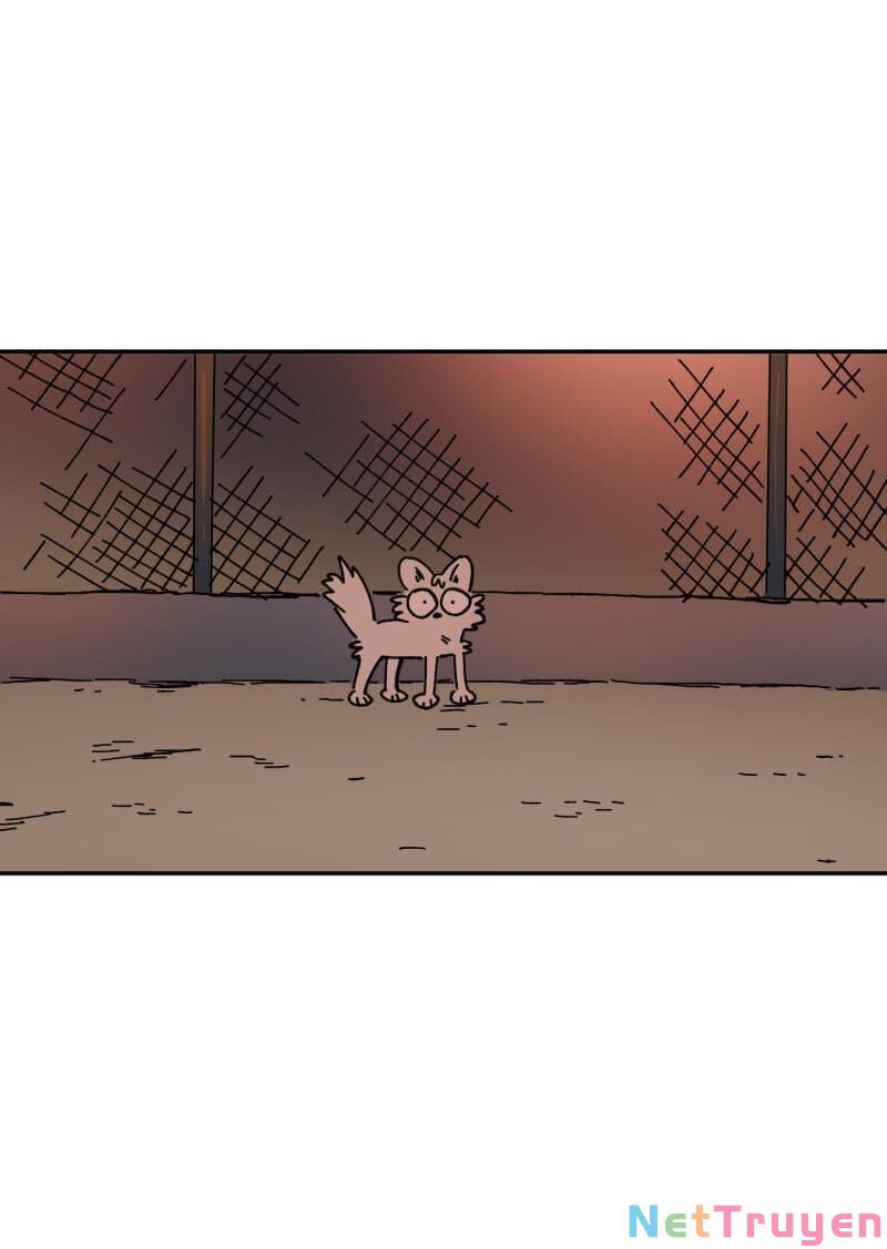 lumine - cội nguồn ánh sáng chapter 107 28