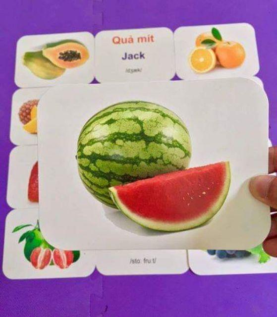 Bộ thẻ ( Flashcard ) lớn gồm 280 thẻ kích thước thẻ 12x16cm, 15 chủ đề thế giới xung quanh