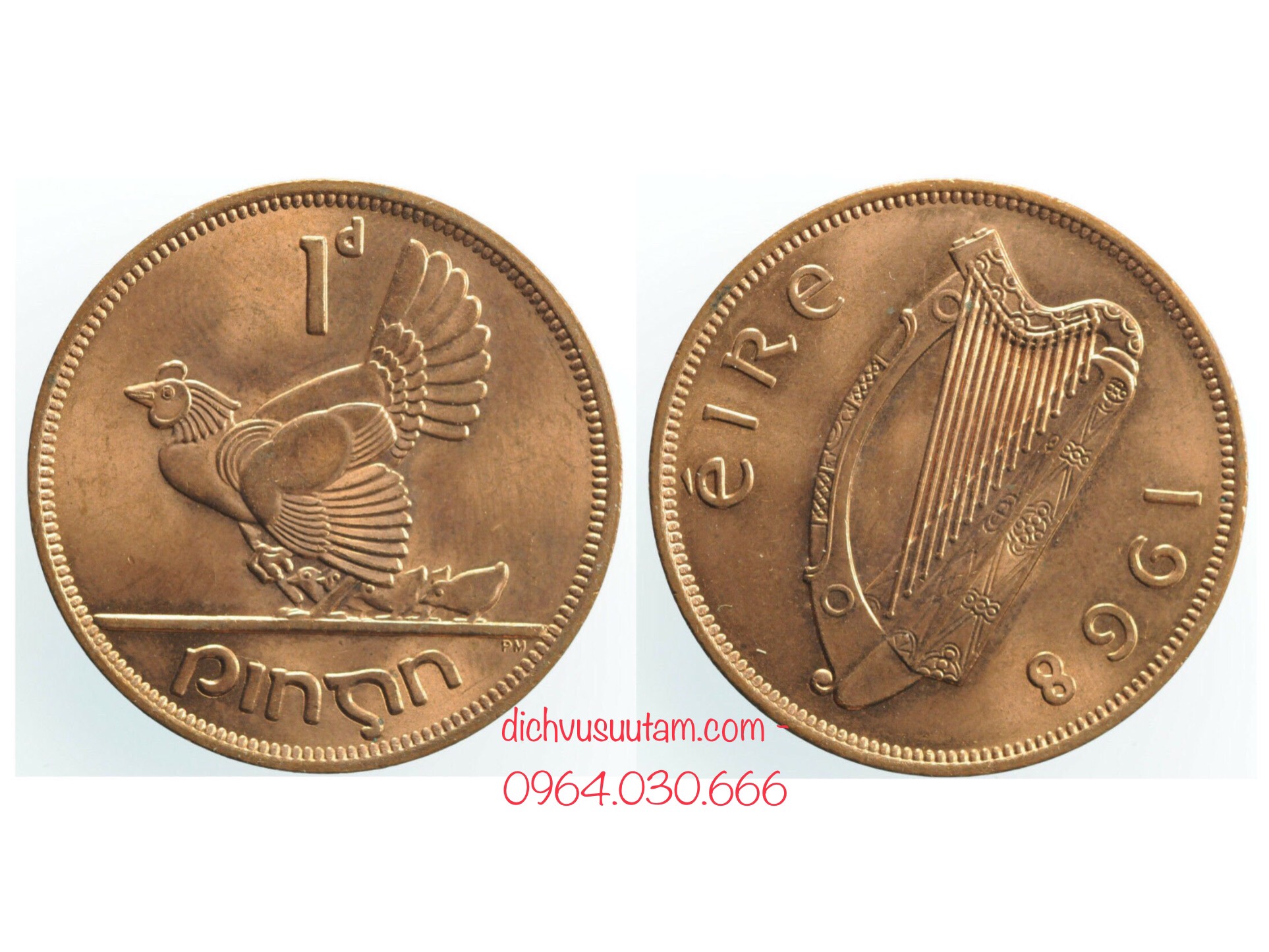 Đồng xu con Gà 1 penny Ireland, 1 trong 10 đồng xu may mắn nhất thế giới
