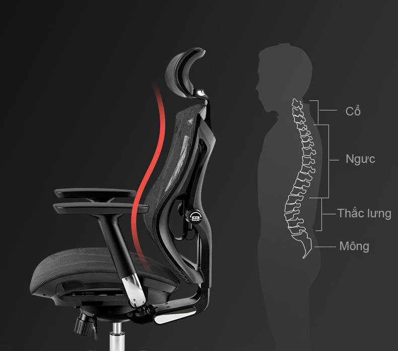 GHẾ CÔNG THÁI HỌC ERGONOMIC M57