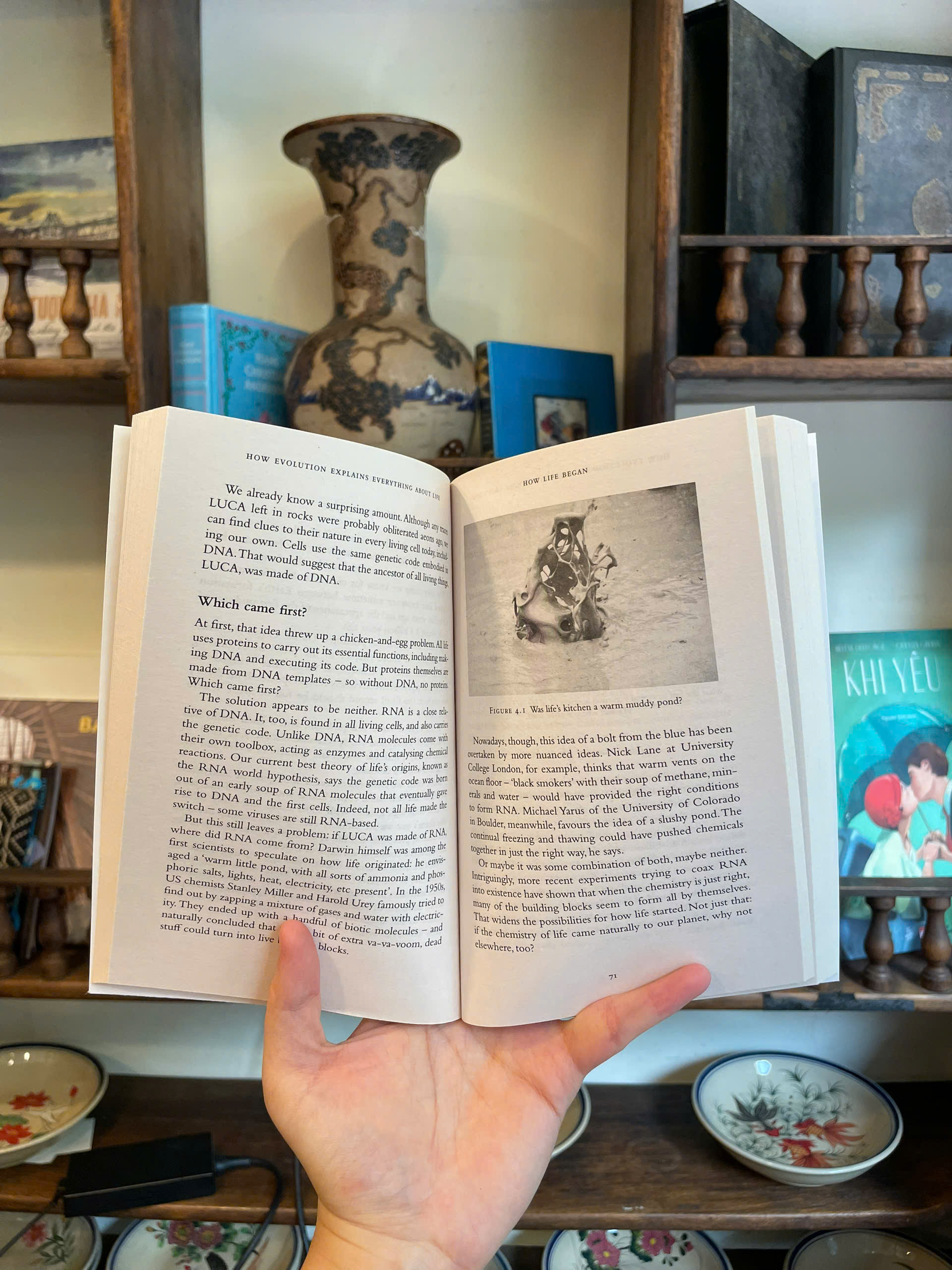 Sách - New Scientist - instant Expert: How Evolution Explains Everything about Life