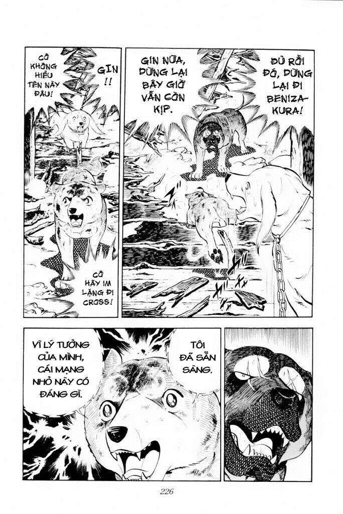 chú chó có nghĩa - ginga nagareboshi gin chapter 29.2 13