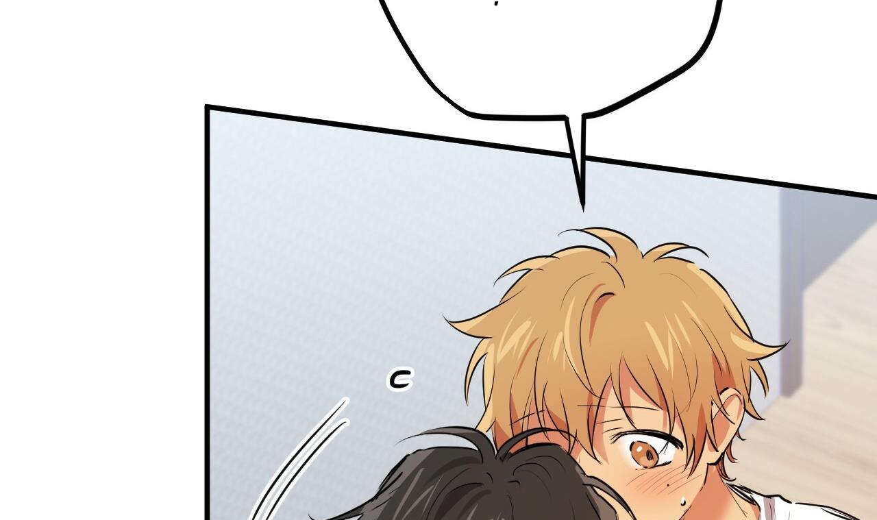 đàn thỏ của habibi chapter 39 217