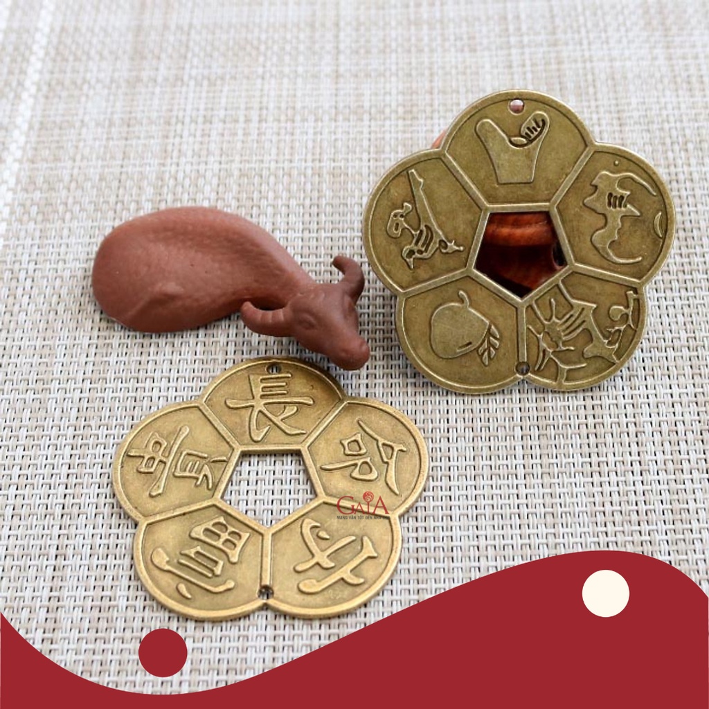 Tiền xu hoa mai 5 cánh liền