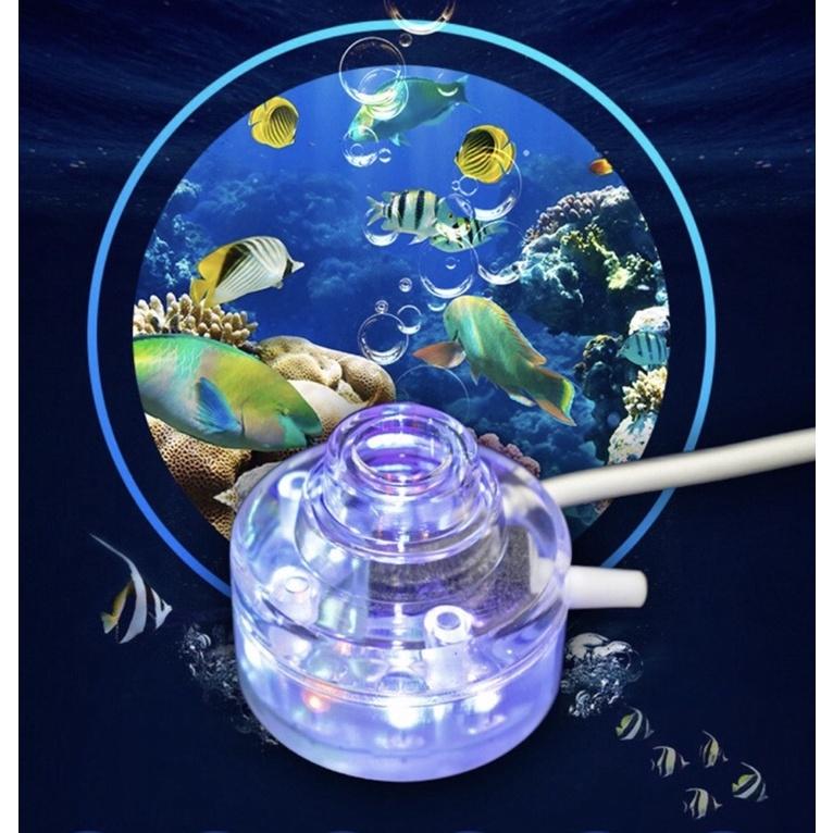 SỦI MINI CÓ ĐÈN LED ĐỔI MÀU CHO HỒ CÁ