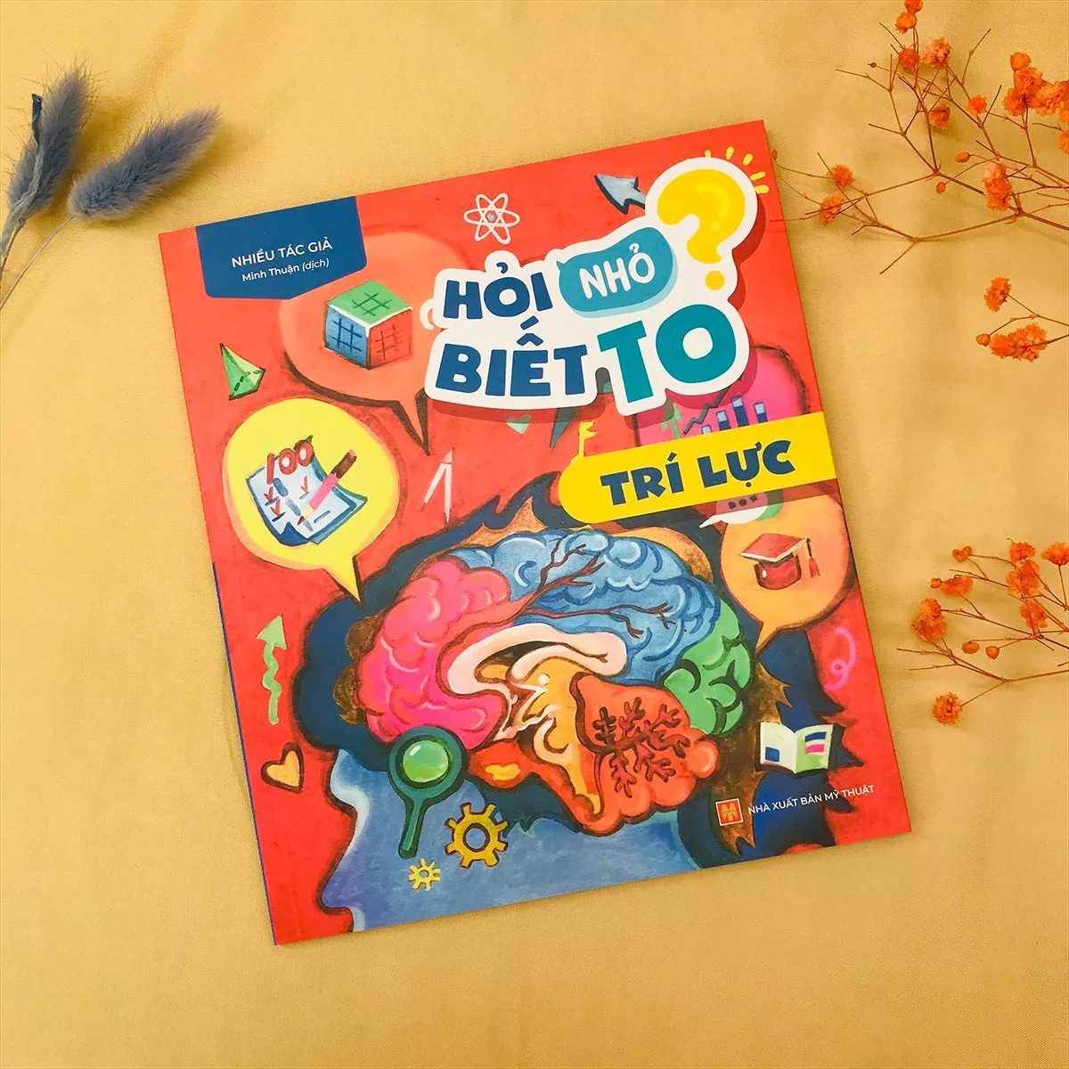 Hỏi Nhỏ Biết To - Trí Lực