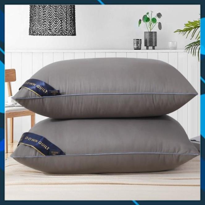 Hàng Auth- Ruột gối nằm Pillow cao cấp - ruột gối hơi nhập khẩu kích thước 45x65 cm